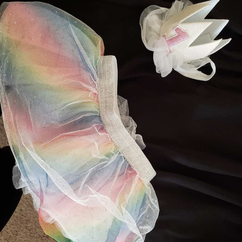 1st Birthday rainbow princess crown and tutu